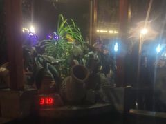 -碧水湾温泉