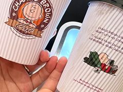 -史努比缤纷世界