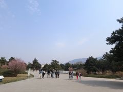 -秦始皇帝陵博物院-丽山园