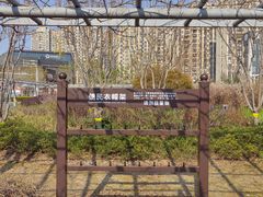 -嘉定紫藤园