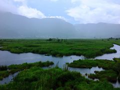 -腾冲北海湿地