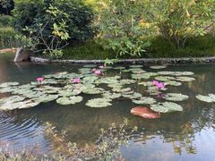 -云溪植物园