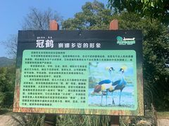-太湖龙之梦