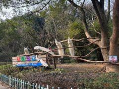 -宁波野生动物园