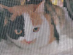 -乖乖乐动物医院(小汤山分院)