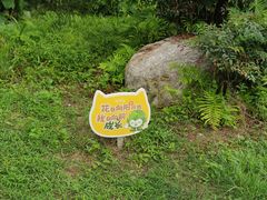 -桤木河湿地公园