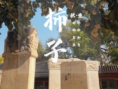 -北京石刻艺术博物馆(五塔寺)