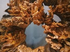 -烟台自然博物馆