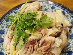 -九斤黄三黄鸡专卖店