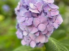 -常州古运河南大街文化旅游区-人民公园