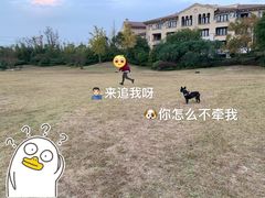 -上海崇明金茂凯悦酒店