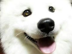 -爱侣宠医·鹦鹉专科·小型哺乳类·异宠专科(灵石路店)