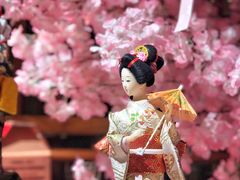 -金陵山水丽景酒店-中餐厅