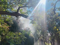 -Chom Cafe and Restaurant