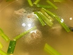 -新楚记