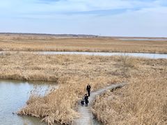 -盐城丹顶鹤湿地生态旅游区