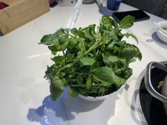 -官塘兄弟·潮汕牛肉店(官塘总店)