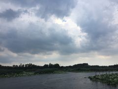 景点-白洋淀景区