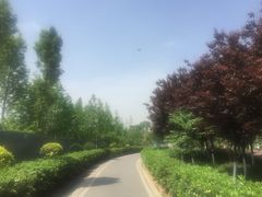 -白鹭湾湿地公园