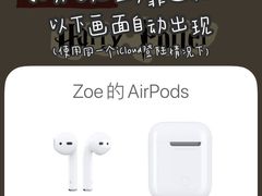 -Apple零售店(成都太古里店)