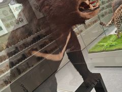 -北京中医药大学-中医药博物馆