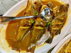 -大锅强·蒸海鲜青岛菜(吾悦广场店)