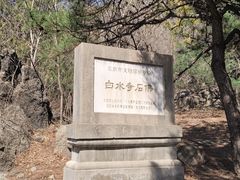 -白水寺森林公园