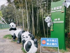 -安吉竹博园