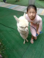 -萌宠亲子动物乐园(槐房万达店)