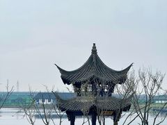 -杭州湾海上花田景区