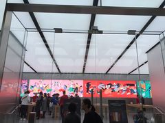 -Apple 零售店(Canton Road)