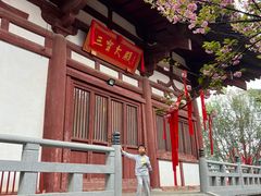 -西安乐游原