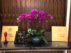 -上海嘉定喜来登酒店