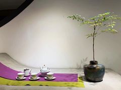 -青藤茶馆(南山路店)