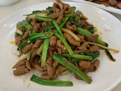 -胜记烧鹅美食