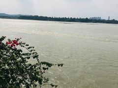 -乐山市博物馆