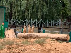 -秦皇岛野生动物园
