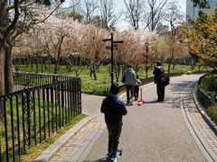 -御花园·粤菜·海鲜火锅(中山公园店)