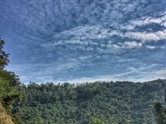 景点-火炉山森林公园