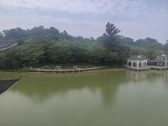 -狮山公园