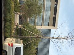 -浙江大学医学院附属邵逸夫医院(钱塘院区)