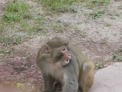 -重庆雨台山风景区