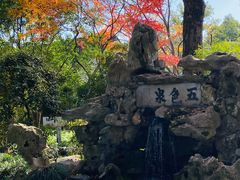 -上海醉白池公园