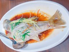 -中发源·清真餐厅(春风店)