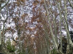 -T80科技文化国际社区-停车场