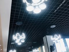 -一代菌王·竹荪鹅(江苏旗舰店)