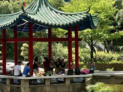 -九龙公园