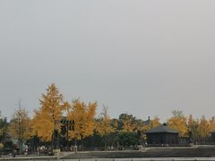 -大雁塔北广场音乐喷泉