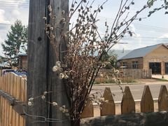 -卓娅俄餐厅(恩和俄罗斯民族乡店)