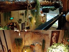 -薄荷小筑融合音乐餐吧(农业路店)
